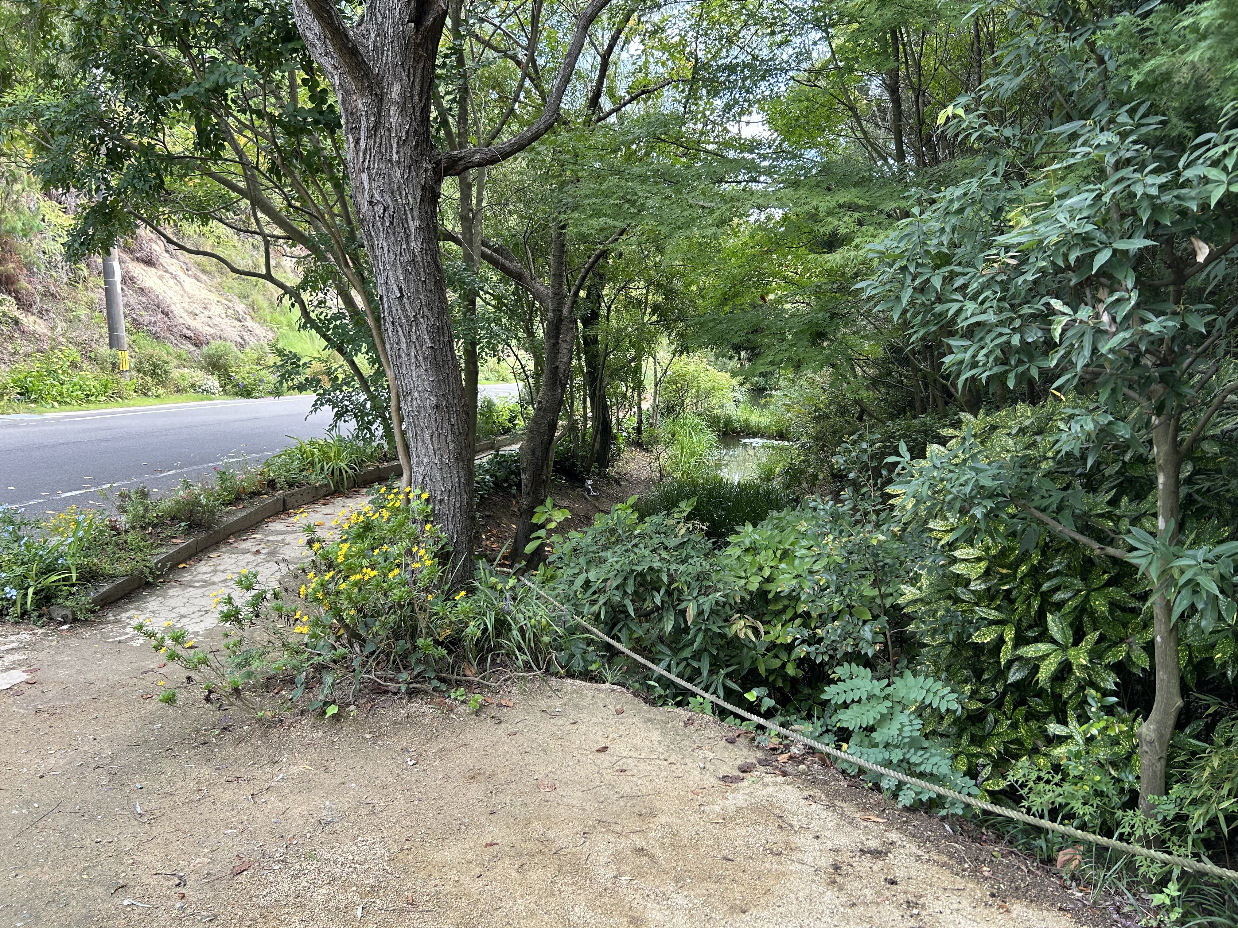 https://www.kozaisoft.com/blog/2025/10/IMG_6826.jpeg