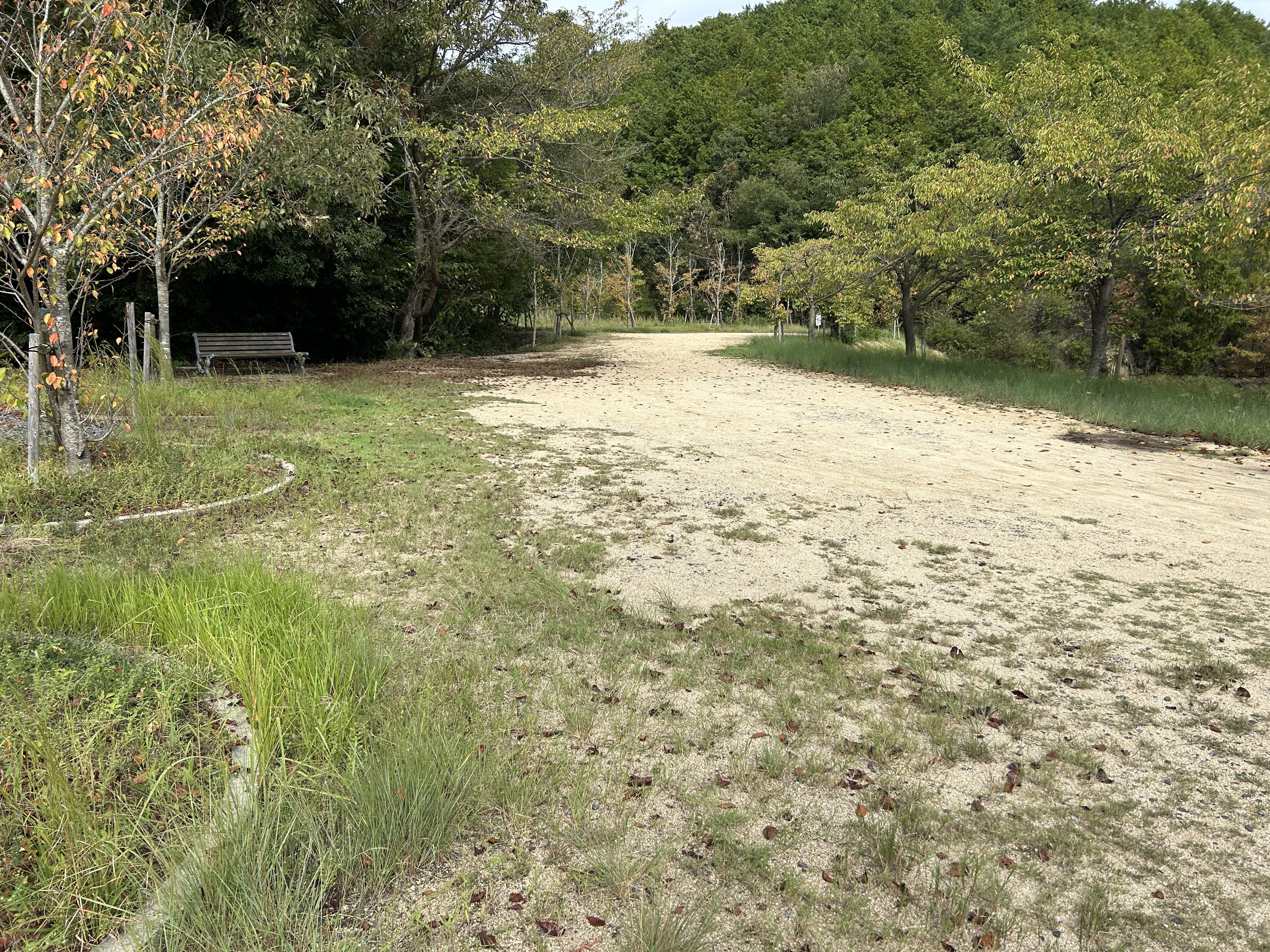 https://www.kozaisoft.com/blog/2025/10/IMG_6834.jpeg