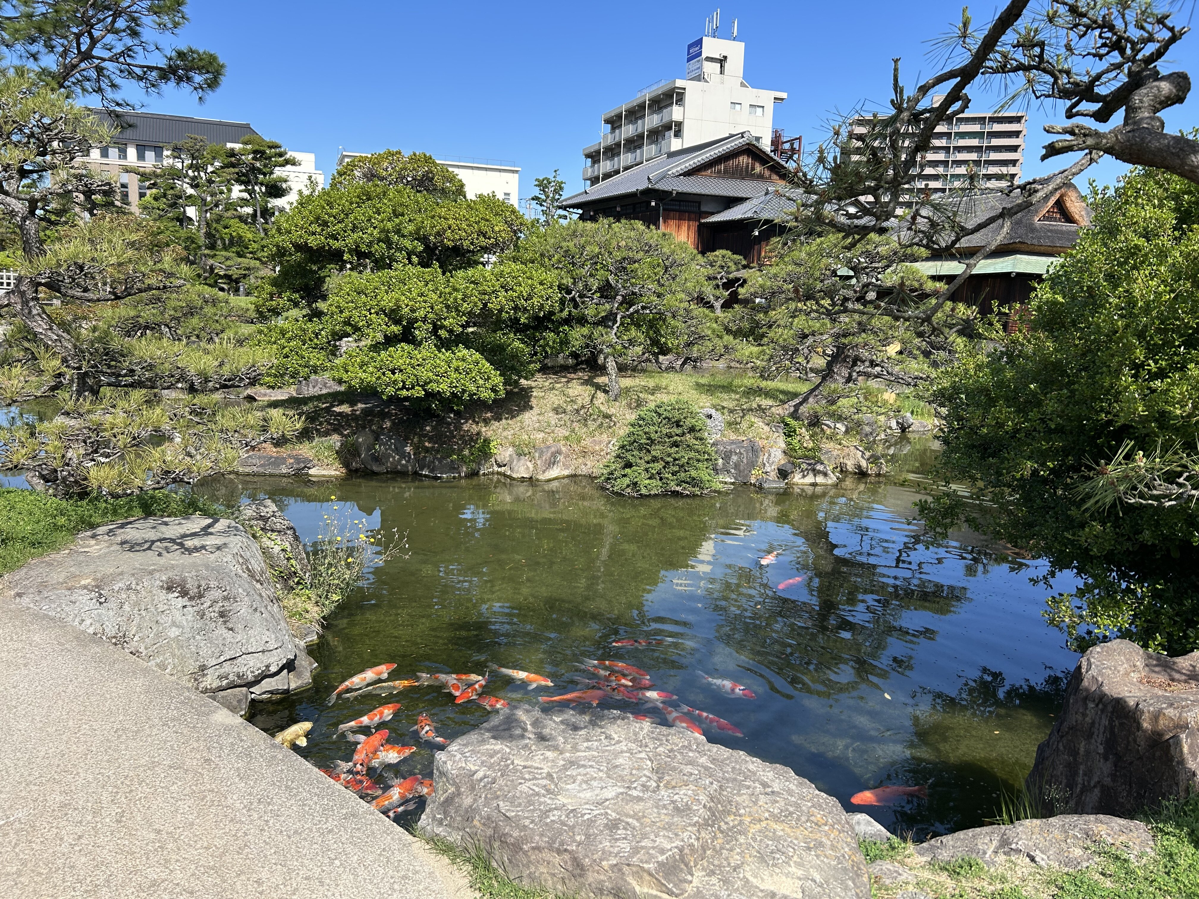 https://www.kozaisoft.com/blog/2026/05/IMG_7570.jpeg