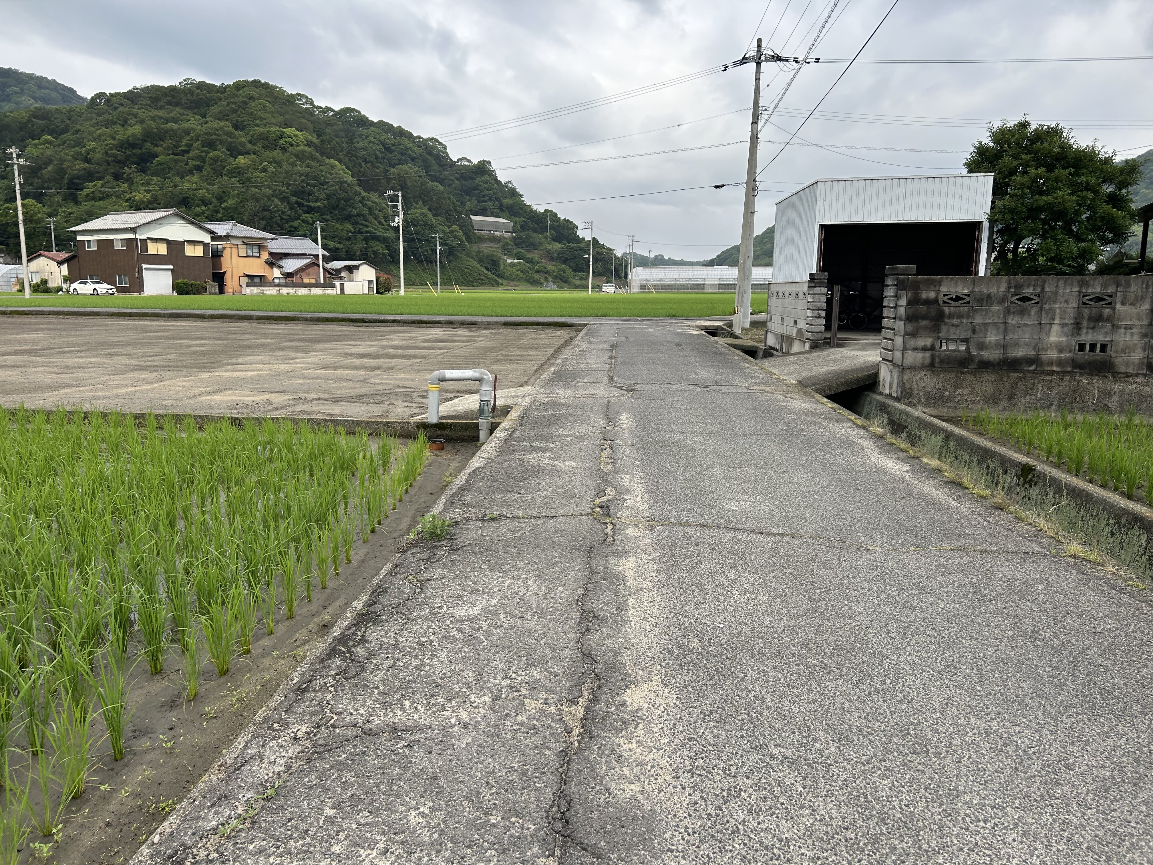 https://www.kozaisoft.com/blog/2026/06/IMG_7705.jpeg
