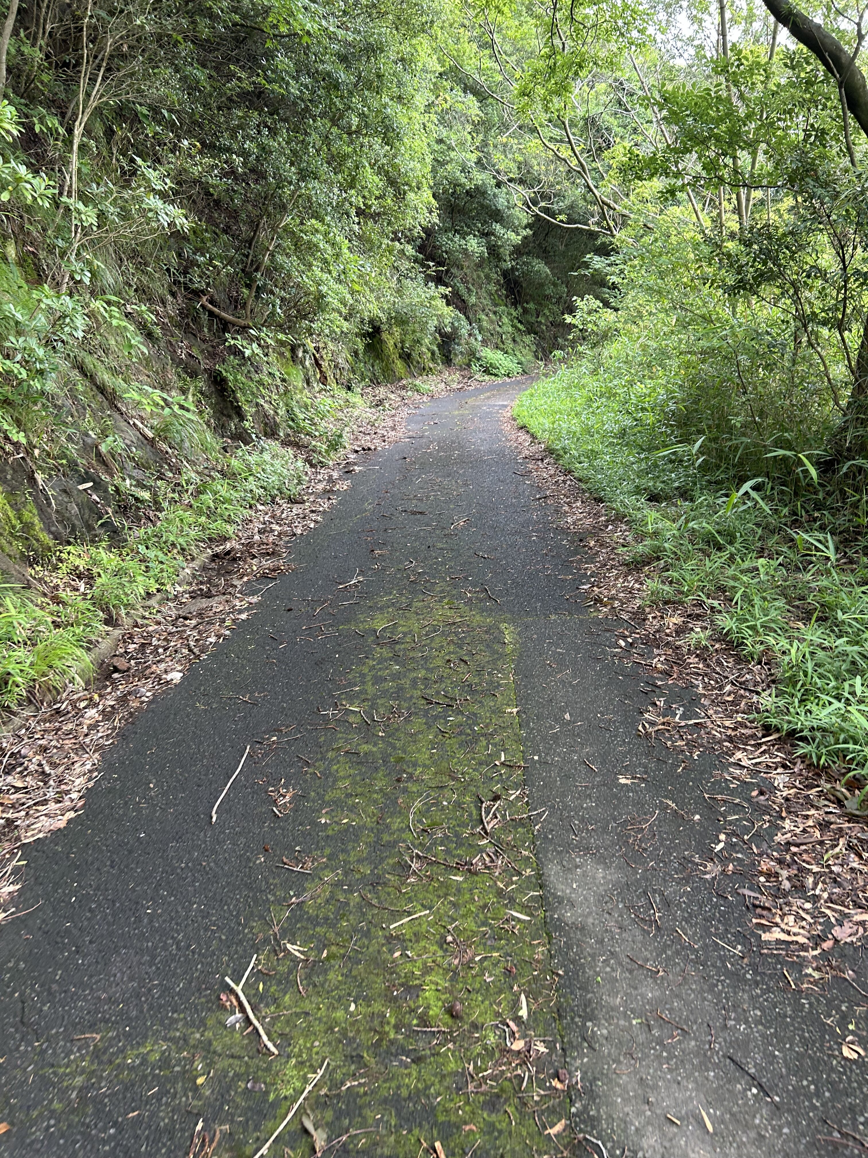 https://www.kozaisoft.com/blog/2026/06/IMG_7728.jpeg