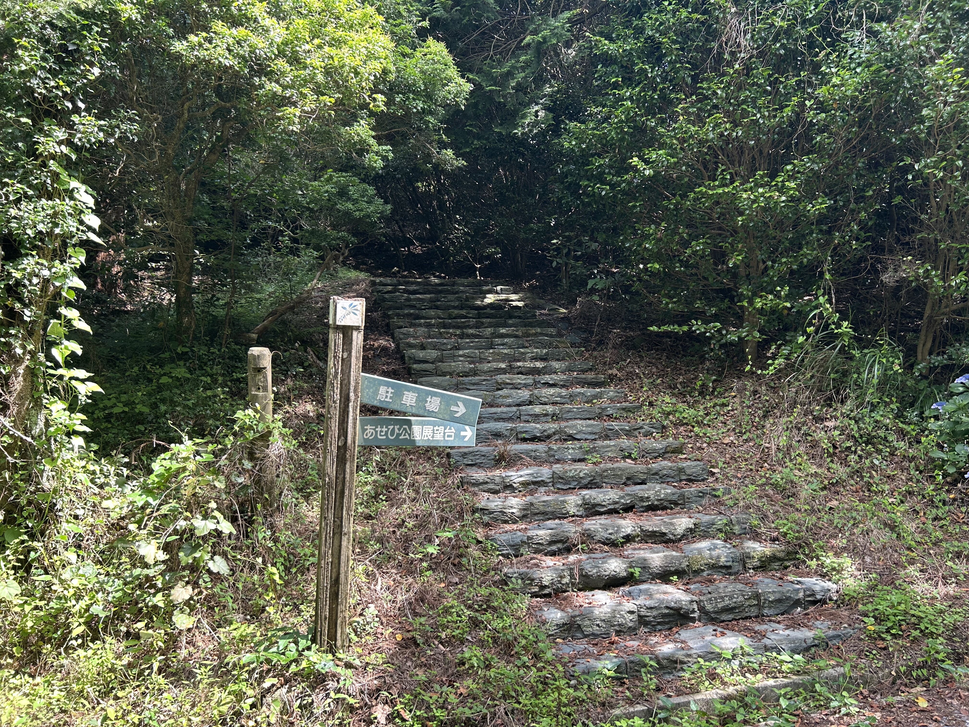 https://www.kozaisoft.com/blog/2026/07/IMG_7860.jpeg