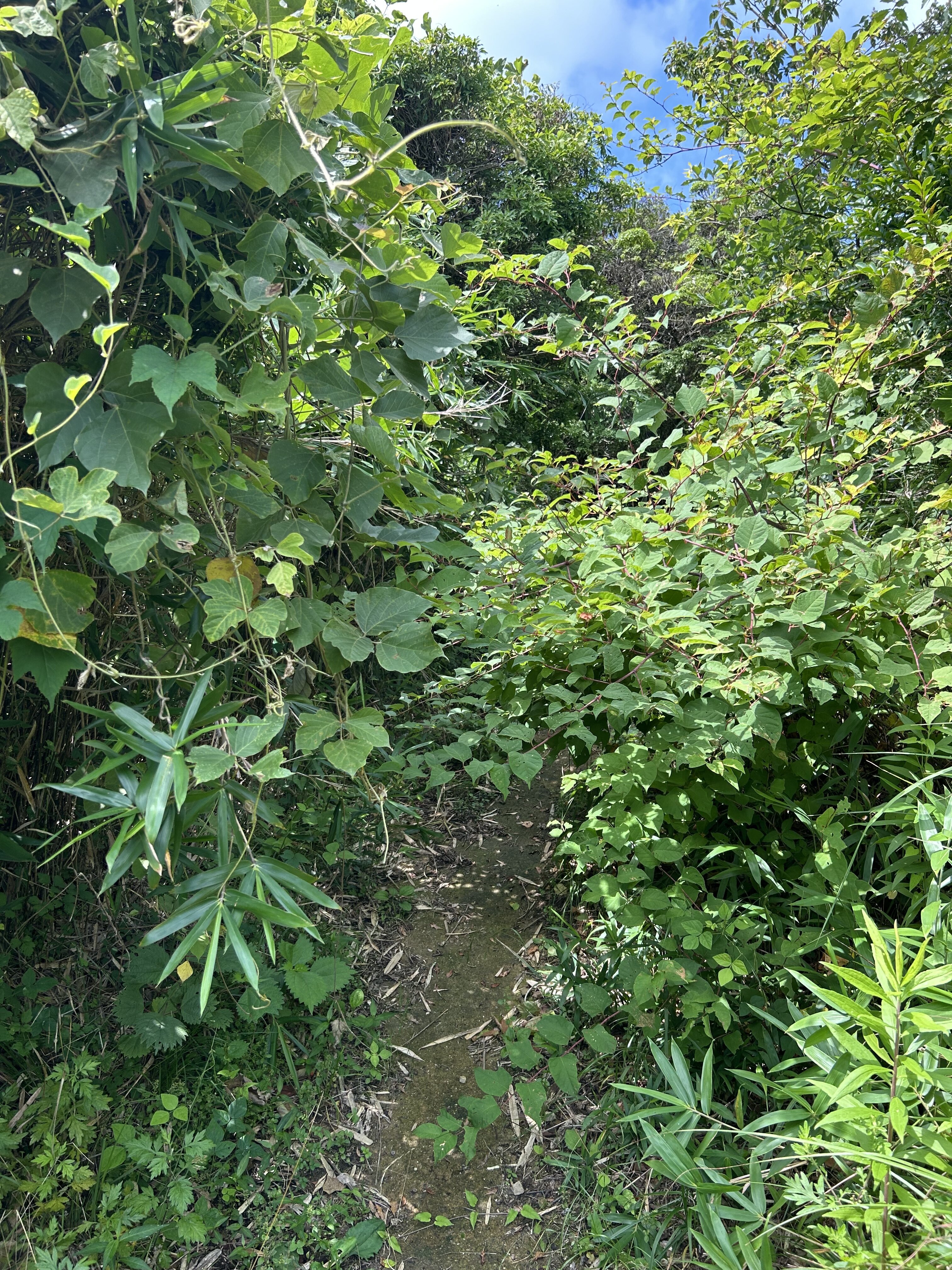 https://www.kozaisoft.com/blog/2026/07/IMG_7867.jpeg