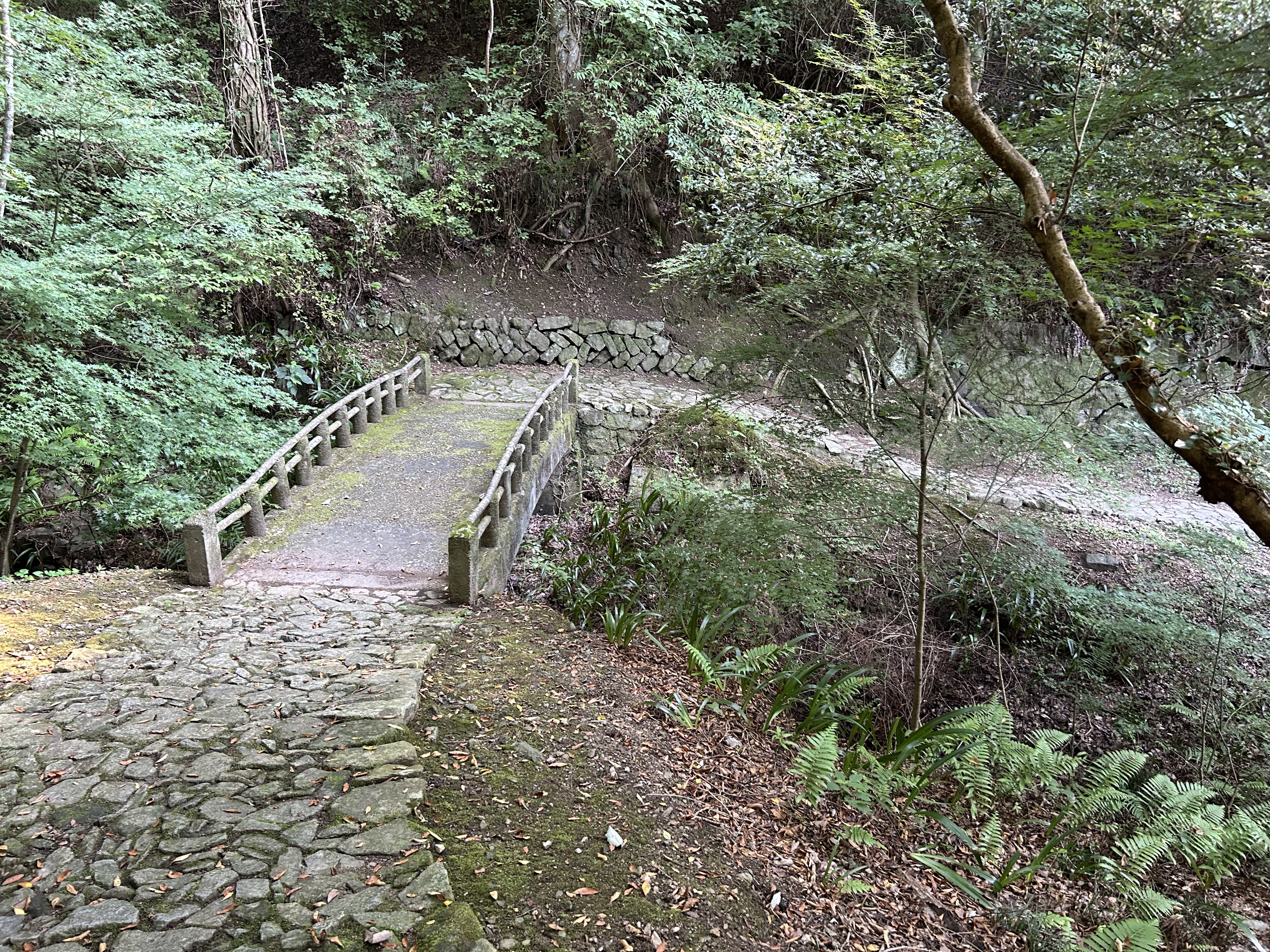 https://www.kozaisoft.com/blog/IMG_6694.jpeg