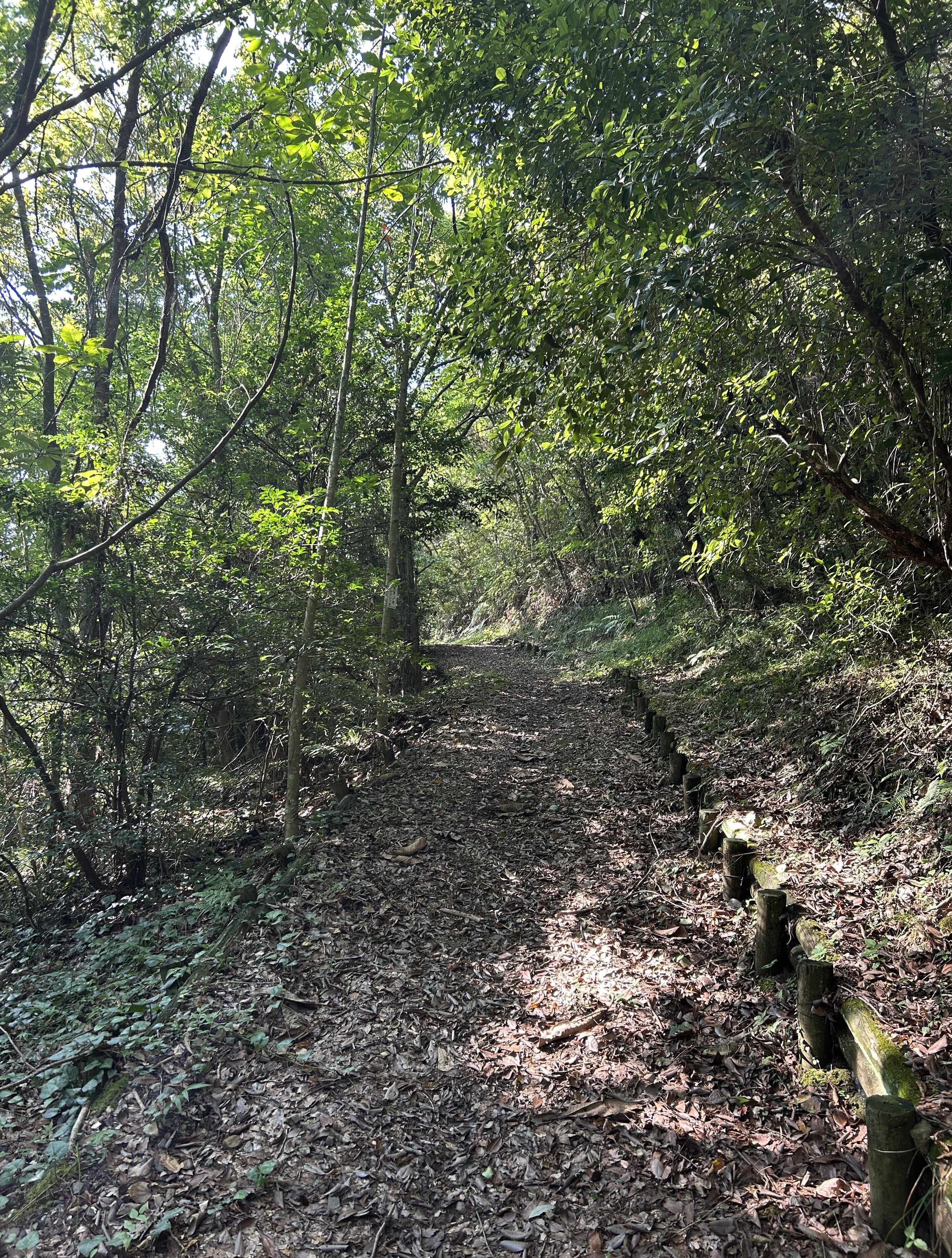 https://www.kozaisoft.com/blog/IMG_6698.jpeg