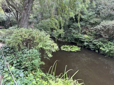 IMG_6827.jpeg