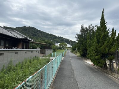 IMG_6854.jpeg