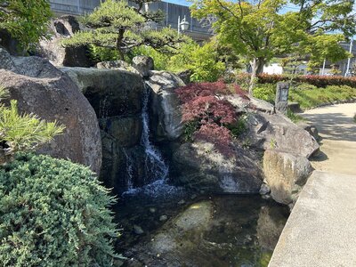 IMG_7569.jpeg