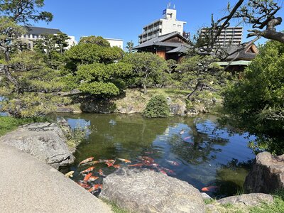 IMG_7570.jpeg