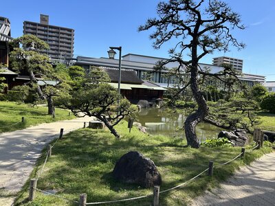 IMG_7572.jpeg
