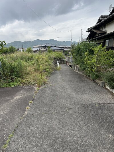 IMG_7703.jpeg
