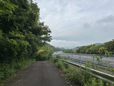 IMG_7708.jpeg