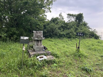IMG_7721.jpeg