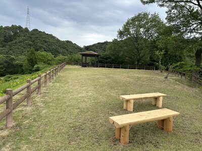 IMG_7735.jpeg