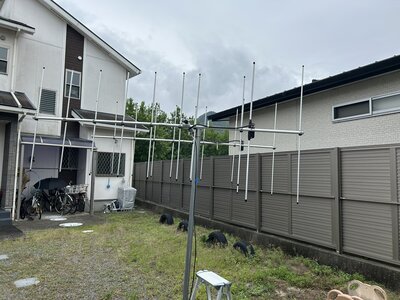 IMG_7810.JPEG
