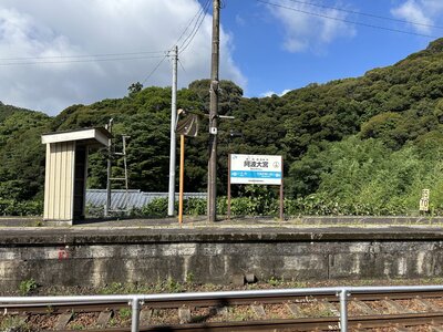 IMG_7833.jpeg