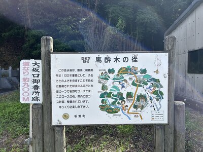 IMG_7834.jpeg