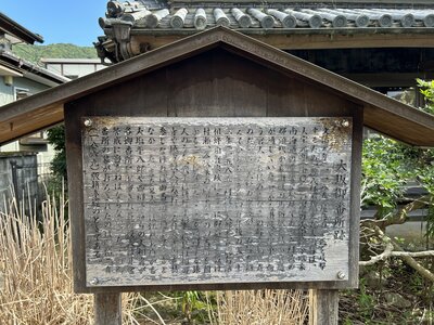 IMG_7842.jpeg