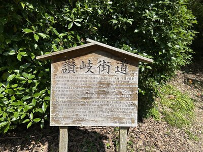 IMG_7844.jpeg