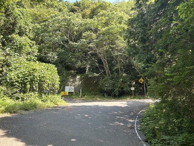 IMG_7853.jpeg