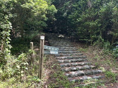 IMG_7860.jpeg
