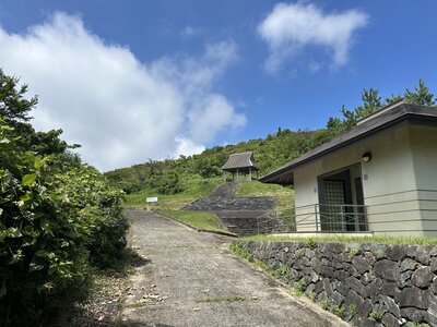 IMG_7863.jpeg