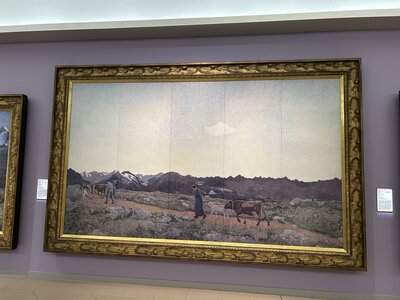 IMG_8103.jpeg