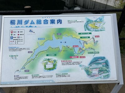 IMG_8223.JPEG