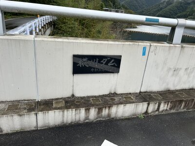 IMG_8228.JPEG
